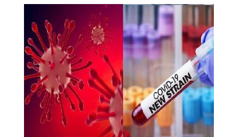 Punjab