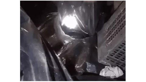 crime